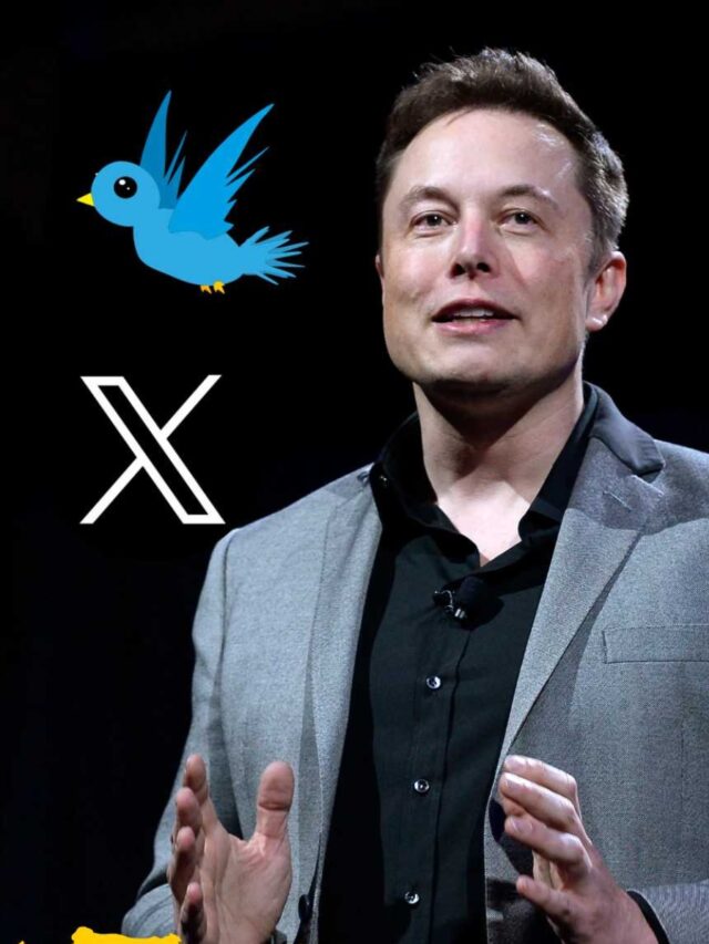 Elon Musk's X